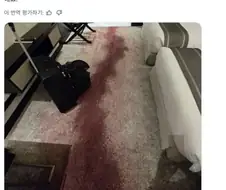 와인 얼룩 제거 방법좀 알려줘