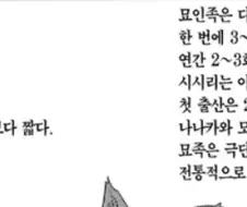 아사나기 신작 설정
