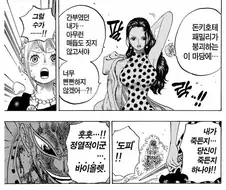 원피스) 소년 만화라서 생략된 그렇고 그런 관계