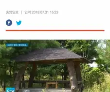 세종시에 등장한 정자도둑.jpg
