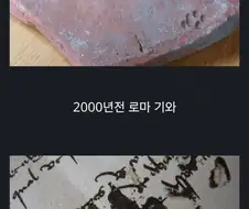 수천년간 똑같은 짓을 하는 동물.jpg