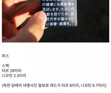 일본에서 개발된 친환경 담배