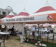 논산딸기축제 시즌이 되면 새옷 입는 강아지들