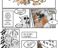 임신한 고양이를 주워왔더니 새끼를 낳은 만화