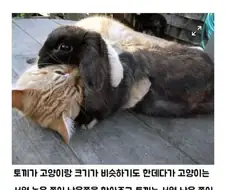 착각물이된 우정