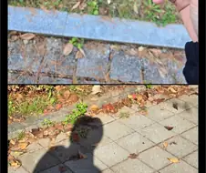 젓가락 들고 지렁이 찾는 사람