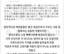 애완동물에 매기는 법적인 가치.jpg