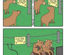 농장에 전기 울타리를 설치했다.Comic