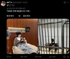 한국과 중국별 작가의 휴재이유 차이