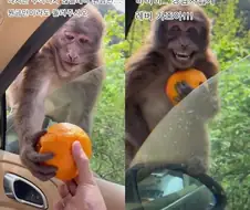 주식) 보는 방향에 따라 평가가 바뀌는 짤