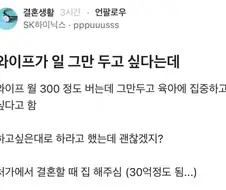 일 그만두려는 와이프때문에 고민인 블라인.jpg