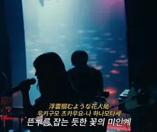 요루시카 - 미인계 (Live)