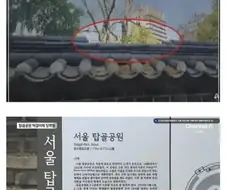 턱걸이 하다 징역형