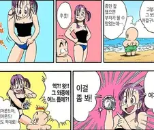베지터가 부르마와 결혼한 이유.manwha