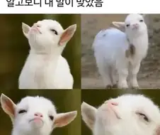 그것봐 내말이 맞잖아 표정