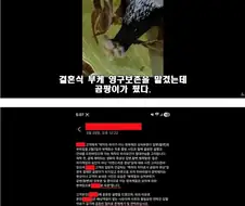 변호사에게 법대로 하라고 하면 일어나는 일