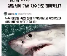 뉴욕 여성을 죽인 상어가 백상아리로 확인됐고 그 백상아리가 아직 바다에 있다고 함