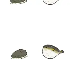 귀여운 전복