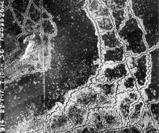 참호전 시기의 해프닝