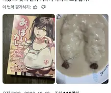 일본의 슴가 카레.jpg