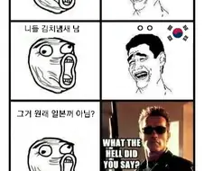 미국인들, 교포 한국인들에게 빡치게 만든다는.. 김치글
