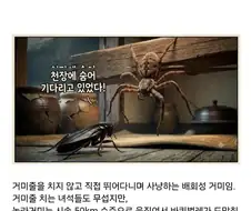(약혐)시골집에 오히려 바퀴벌레가 없는 이유