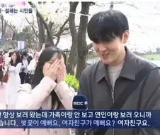 벚꽃 구경하러 온 커플 인터뷰