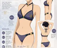 건담)힐다 하켄, 포우 에이지.ai