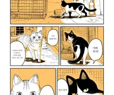 보스 은퇴하는 만화 manhwa