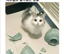 내면의 아름다움은 얼마나 하찮은 것인가