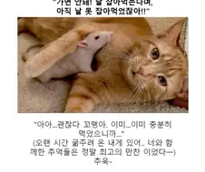 소년 만화 미식이되는 장면