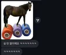 싫어요ㅠㅠㅠ싫단 말이에요ㅠㅠㅠ