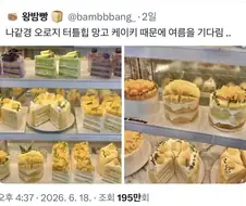 이건 케이크가 아님