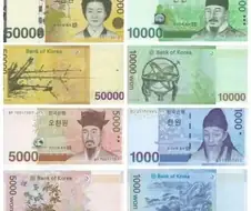 삶의 질을 확 올려주는 아이템