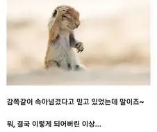 만화속 실눈캐 클리셰.jpg