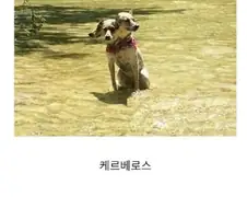 실패한 파노라마 모음