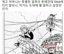나루토가 유독 소년만화중에 혈통으로 욕먹은 이유