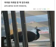 자취방 문을 꼭 닫아야 하는 이유;;