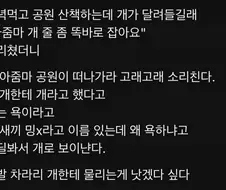 차라리 개한테 물리는게 낫겠다 싶다