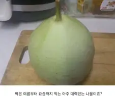 유명하지만, 거의 안먹는 한국 채소 박..