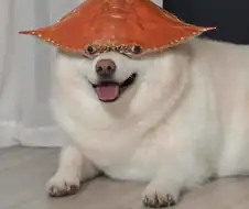 ㄱㅔㅐ