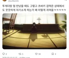 페이트스트레인지페이크) 겁먹었지만 자기소개 하는 츠바키