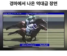 역대급 경마 레이스.jpg