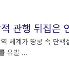 서양인들이 알레르기 많은 이유로 판단되는것