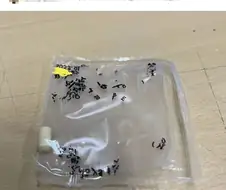 정신과약 먹는데 드디어 미쳤구나 싶었다