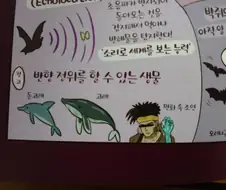어떤 일본의 학습 만화.png