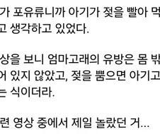 고래가 젖 먹는 방법.jpg