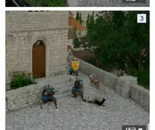 말벌집 버려 사람 죽음...