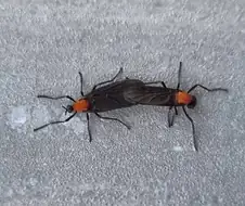 우리 사무실 10층 고층인데..?