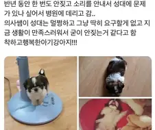 강아지가 반년간 한번도 안 짖은 이유